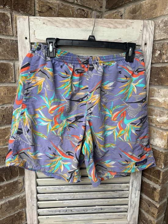 Patagonia Other - Patagonia Men’s Medium Baggies Shorts 6” Piton Paradise: Violet Blue 2016 RARE.